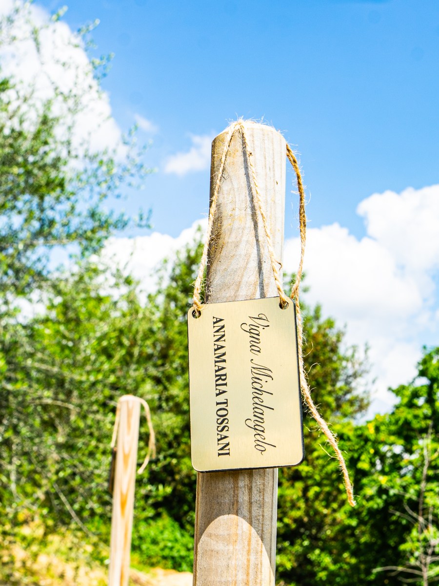 Anche Firenze ha la sua vigna urbana grazie a Maria Fittipaldi&nbsp;Menarini